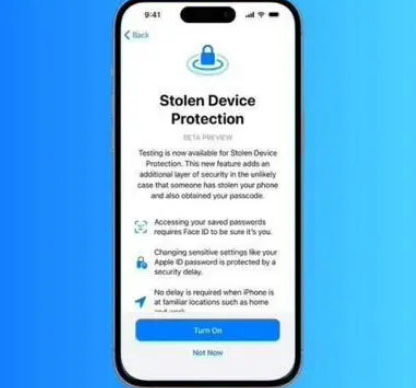 临澧苹果授权维修店分享被盗设备保护功能开启方法
