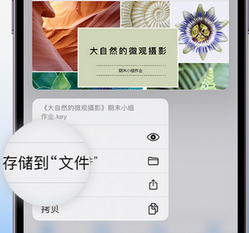 临澧apple维修中心分享iPhone文件应用中存储和找到下载文件