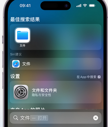 临澧apple维修中心分享iPhone文件应用中存储和找到下载文件