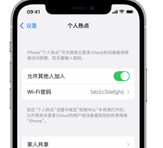 临澧apple服务站点分享iPhone上个人热点丢失了怎么办 