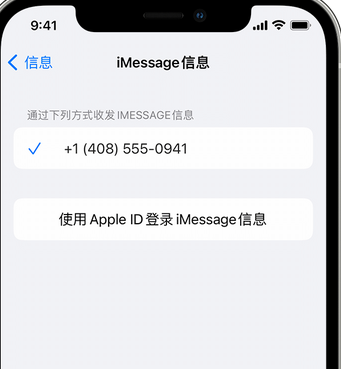 临澧apple维修iPhone上无法正常发送iMessage信息 