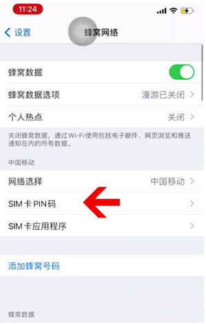 临澧苹果14维修网分享如何给iPhone14的SIM卡设置密码 