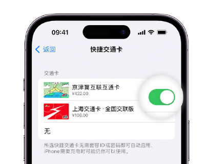 临澧apple维修点分享iPhone上更换Apple Pay快捷交通卡手绘卡面 