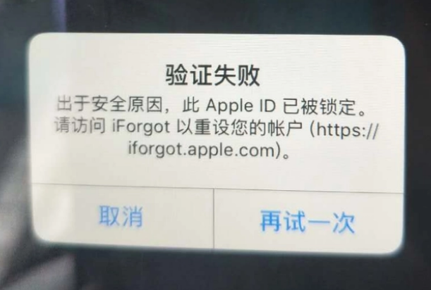 临澧iPhone维修分享iPhone上正常登录或使用AppleID怎么办 