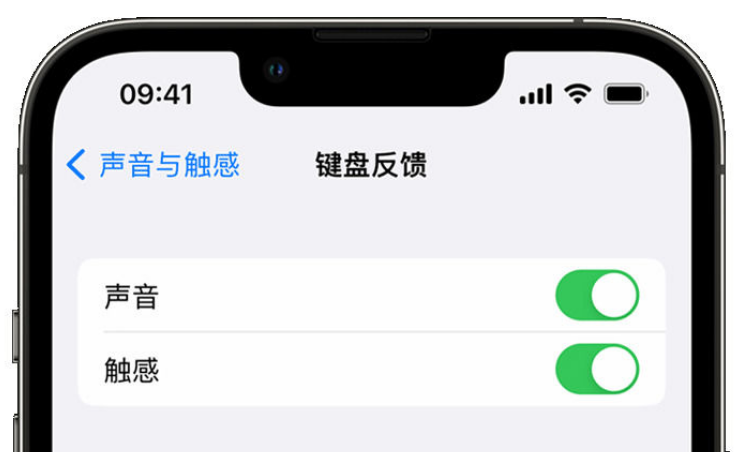 临澧苹果手机维修分享iPhone 14触感键盘使用方法 