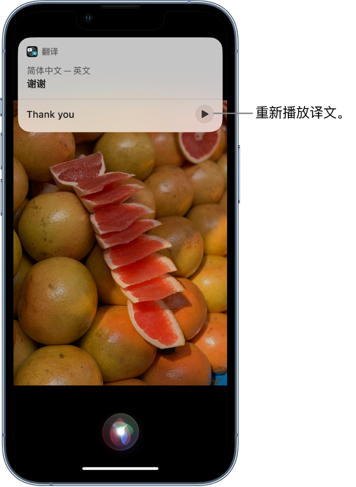 临澧苹果14维修分享 iPhone 14 机型中使用 Siri：了解 Siri 能帮你做什么 