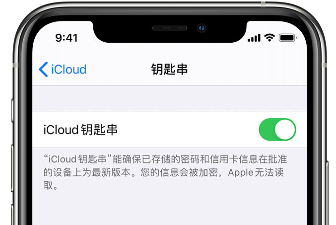 临澧苹果手机维修分享在 iPhone 上开启 iCloud 钥匙串之后会储存哪些信息 
