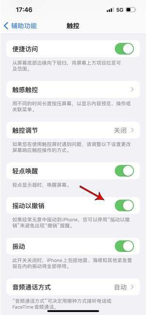 临澧苹果手机维修分享iPhone手机如何设置摇一摇删除文字 