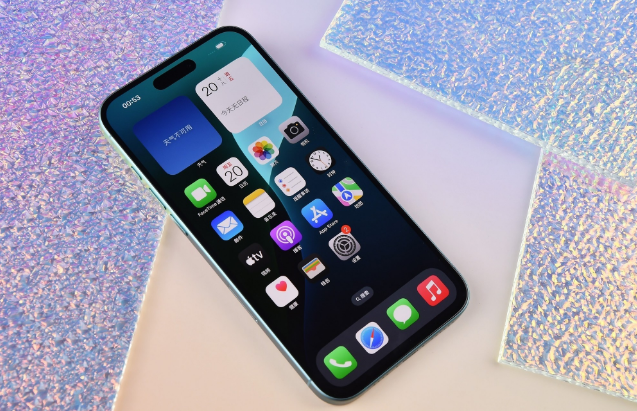 临澧苹果手机维修分享为什么大家不喜欢苹果iPhone 16 Plus 